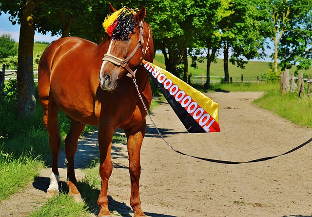 葡媒：曼联等多队夏季关注葡体后卫伊纳西奥，费用至少4500万欧.