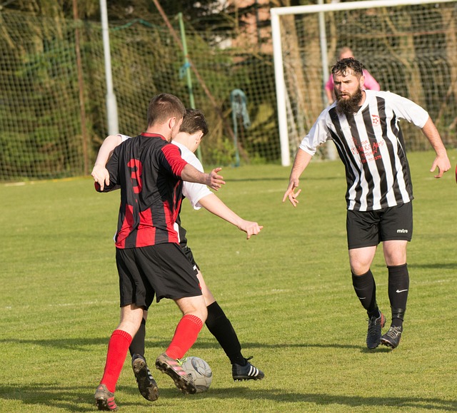 正赛嘉体育入驻广州国际网球中心，打造大湾区网球运营新标杆.