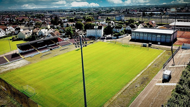 主优化词-湖北队力挫强敌赢得信心